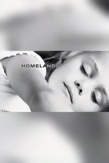 Homeland series poster (2011–2020)